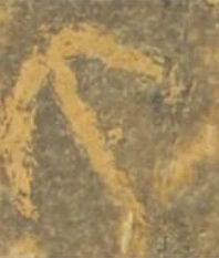 Gravure d'un champignon schématisé, Shamir, Israël